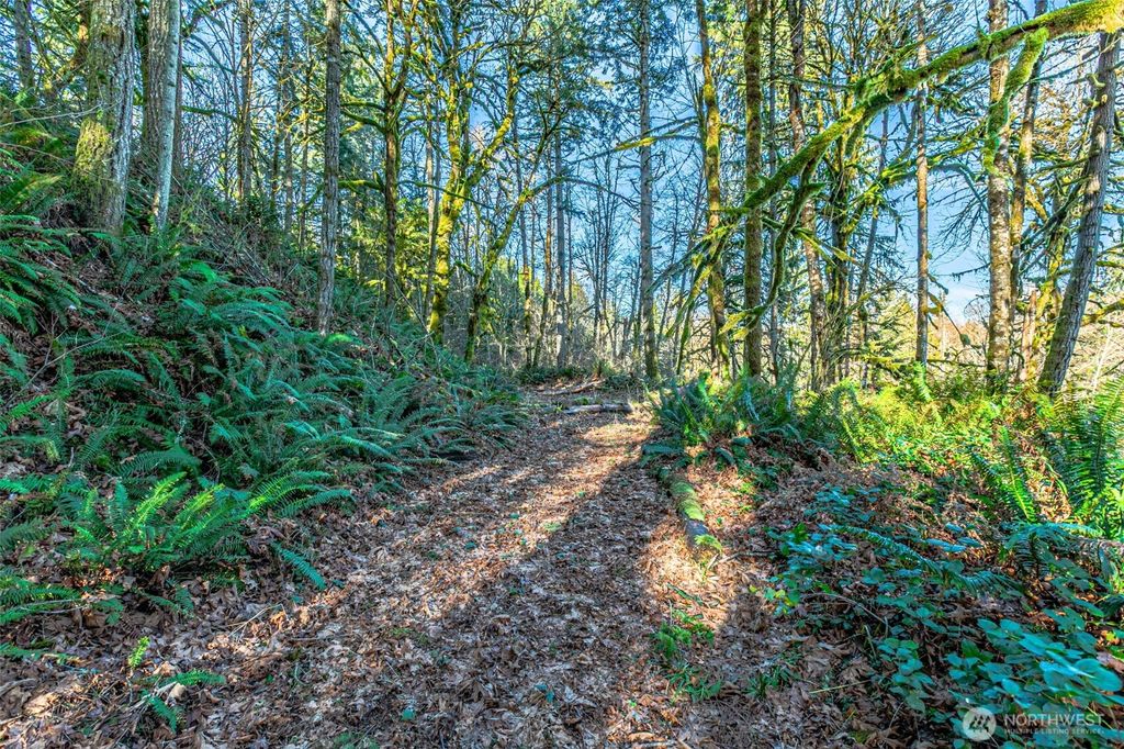 Photo of 0 Dempsey Lane SW, Olympia, WA 98512 (MLS # 2472551)