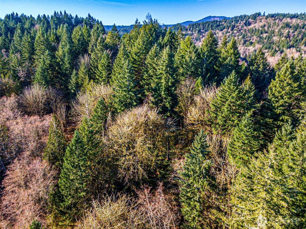 Photo of 0 Dempsey Lane SW, Olympia, WA 98512 (MLS # 2472551)