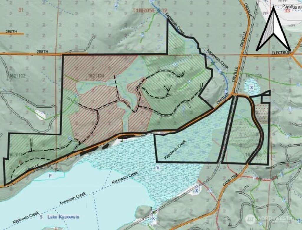 Photo of 0 290.4-ac Orville Road E, Orting, WA 98360 (MLS # 2475617)