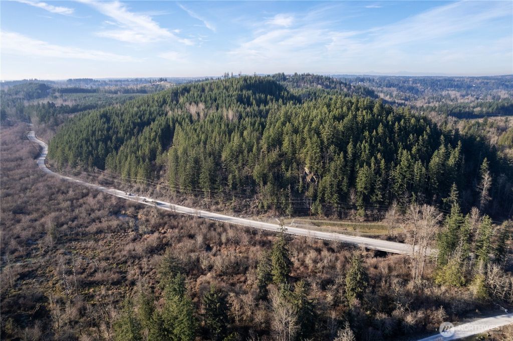 Photo of 0 290.4-ac Orville Road E, Orting, WA 98360 (MLS # 2475617)