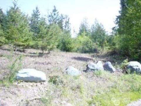 Photo of 1111 xxxx Whiteman Road, Longbranch, WA 98351 (MLS # 2503135)