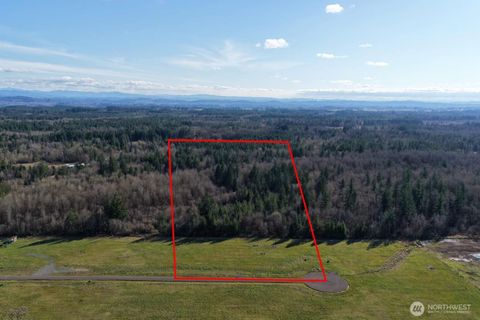 Photo of 129 Jenny Kay Lane, Toledo, WA 98542 (MLS # 2503157)