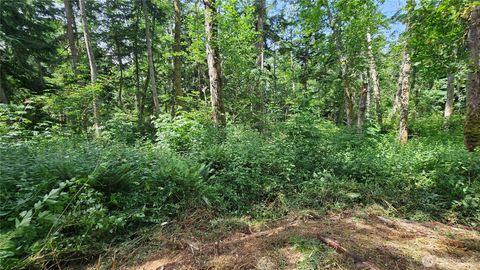Photo of 0 xxxb Dove Drive, Camano Island, WA 98282 (MLS # 2394172)
