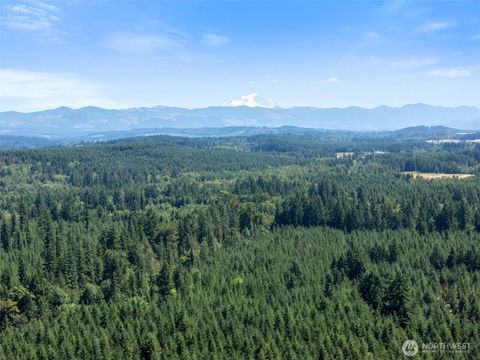 0 Kiser Ethel WA 98542