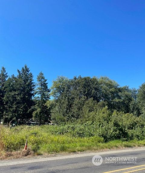 Photo of 0 XXX Henkle (Hwy 6) Street, Raymond, WA 98577 (MLS # 2059126)