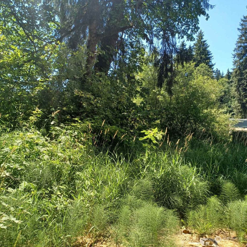 Photo of 0 x 241st Avenue SE, Monroe, WA 98272 (MLS # 2138875)