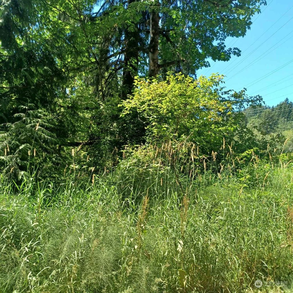 Photo of 0 x 241st Avenue SE, Monroe, WA 98272 (MLS # 2138875)