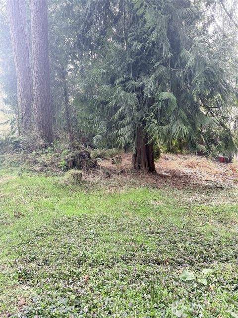 Photo of 0 xxx West Road, Sedro Woolley, WA 98284 (MLS # 2494827)