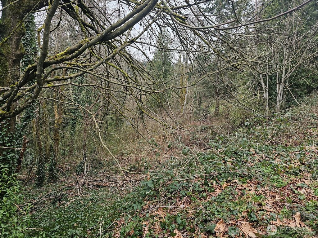 Photo of 194 XX Forest Park Drive NE, Lake Forest Park, WA 98155 (MLS # 2344682)