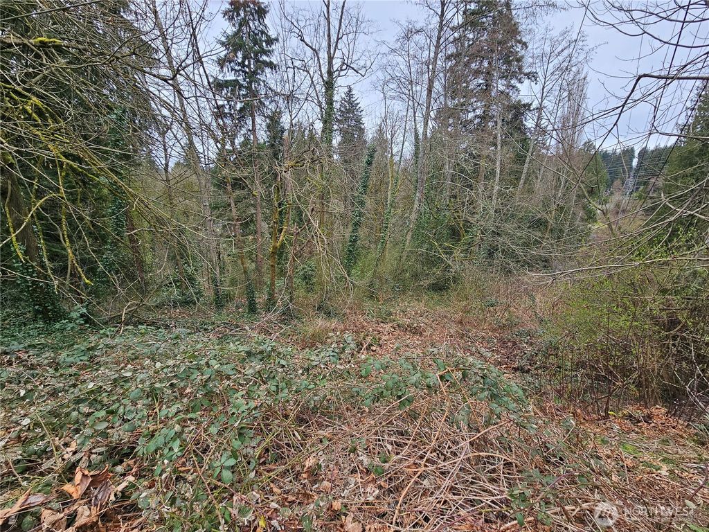 Photo of 194 XX Forest Park Drive NE, Lake Forest Park, WA 98155 (MLS # 2344682)
