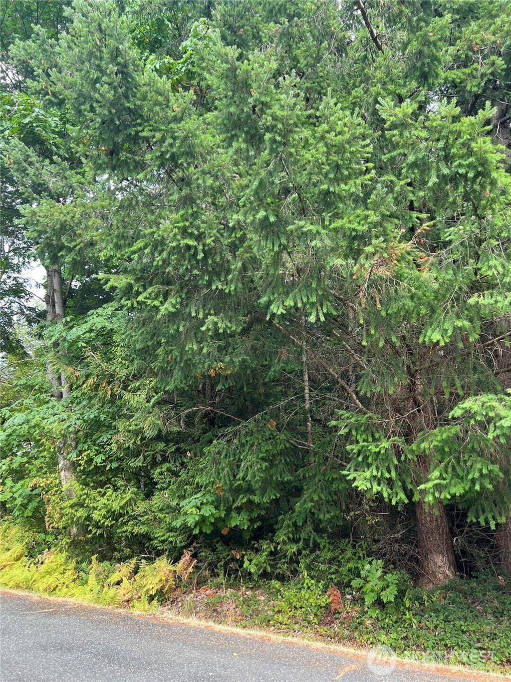 Photo of 2 Park Drive, Point Roberts, WA 98281 (MLS # 2573276)
