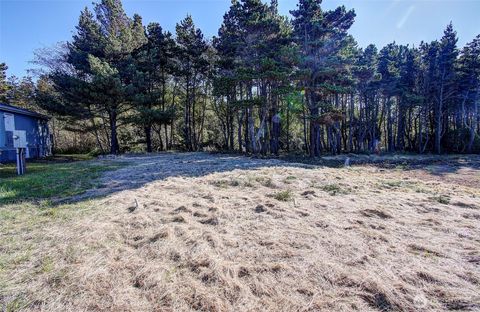 Photo of 29908 H Street, Ocean Park, WA 98640 (MLS # 2439033)