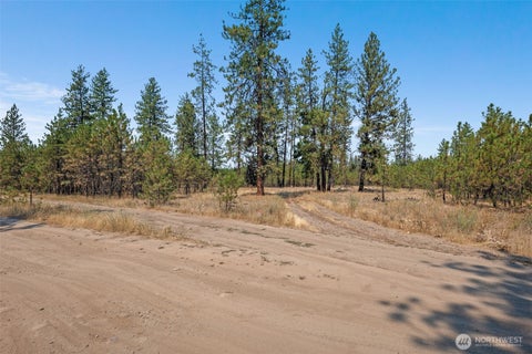 Photo of 7540 Kimberly Dr Way, Ford, WA 99013 (MLS # 2568952)