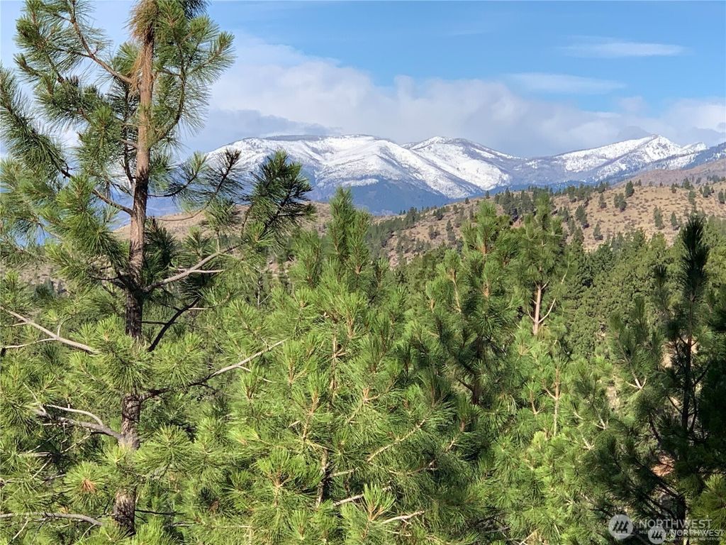 Photo of 0 NNA Cooper Mountain Road, Manson, WA 98831 (MLS # 2498823)