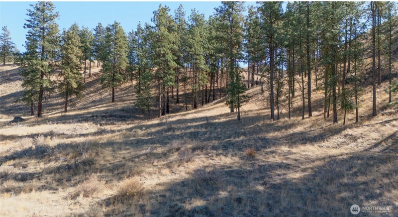 54 Wolf Holler Road