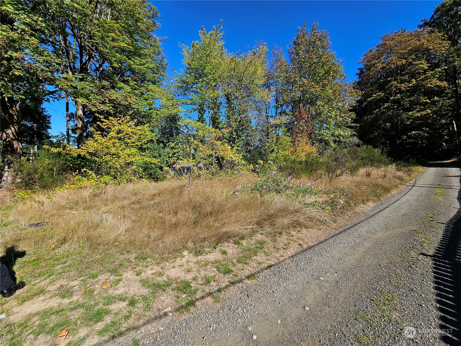 22550 NE SR-3 Highway