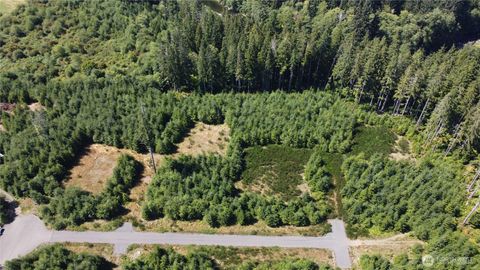 Photo of 9999 King Johns-Lot 3 Raven Way, Forks, WA 98331 (MLS # 2441993)