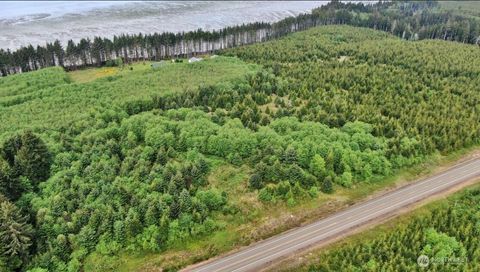 Photo of 50 Willapa Sands Lane, South Bend, WA 98586 (MLS # 2520693)