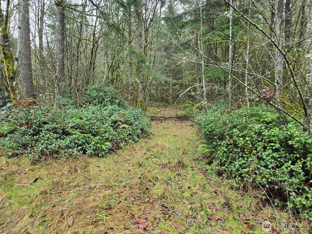 Photo of 0 End of Smith Road, Centralia, WA 98531 (MLS # 2480051)