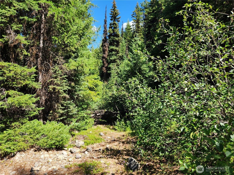 0 East Fork Cougar Creek Road