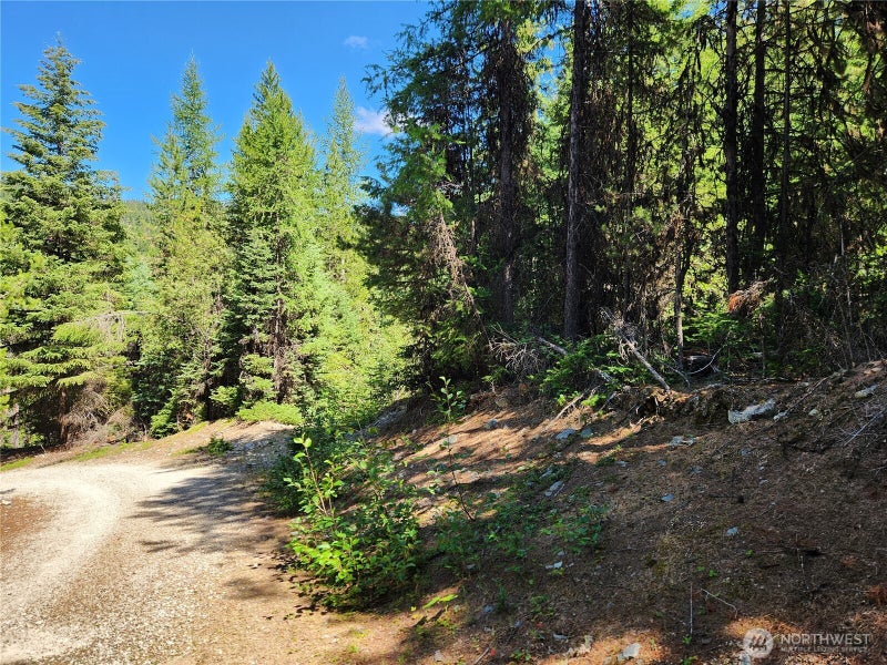 0 East Fork Cougar Creek Road