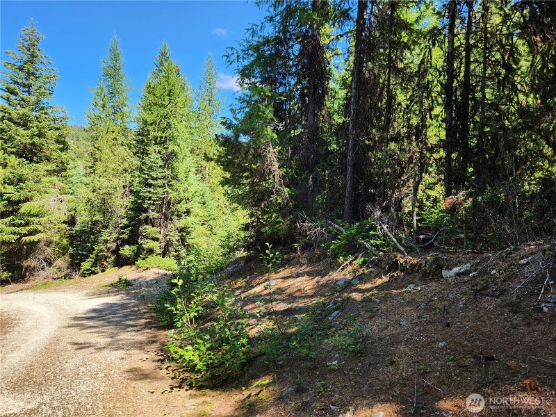 0 East Fork Cougar Creek Road