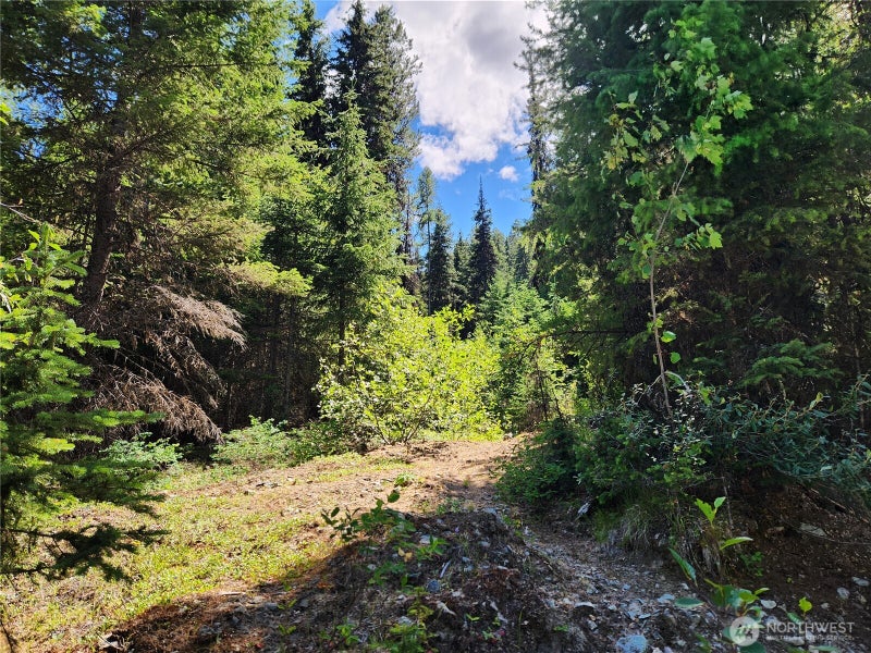 0 East Fork Cougar Creek Road
