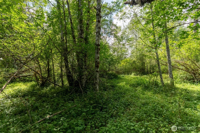 28901 State Route 706