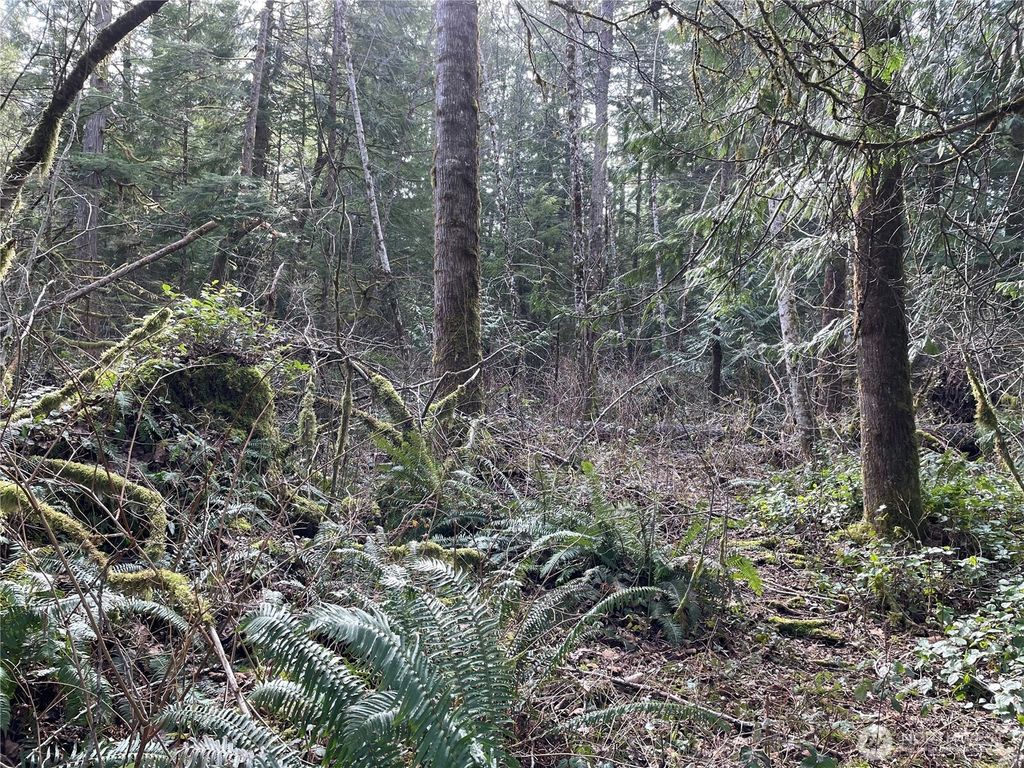 Photo of 0 441st Avenue SE, North Bend, WA 98045 (MLS # 2338576)