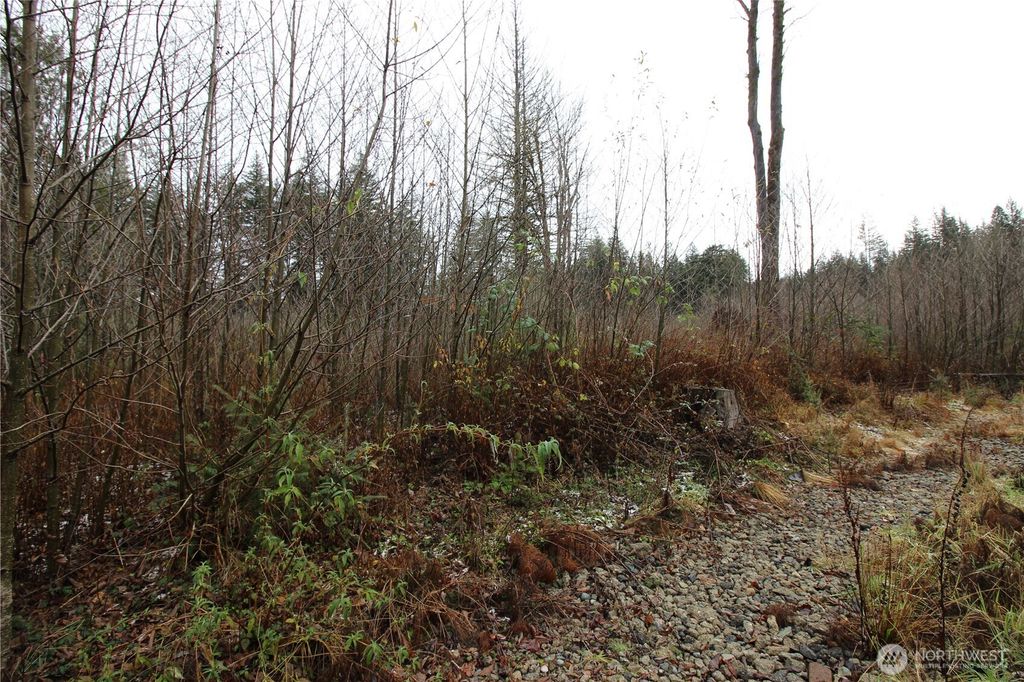 Photo of 0 364th Avenue SE, Maple Valley, WA 98038 (MLS # 2457270)