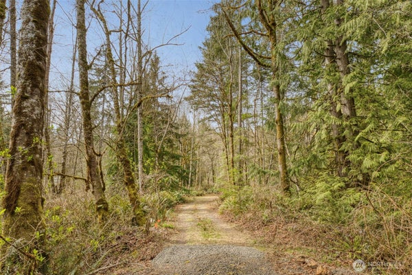 435 NW SWORD FERN LN, POULSBO, WA 98370 - Image 9d66e9e9c35aff682037076bcf8d48fc/1750153411