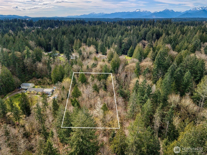 435 NW Sword Fern Lane