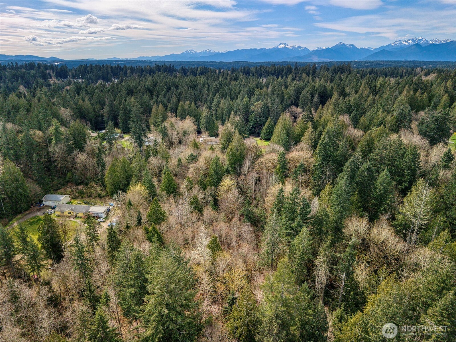 435 NW Sword Fern Lane