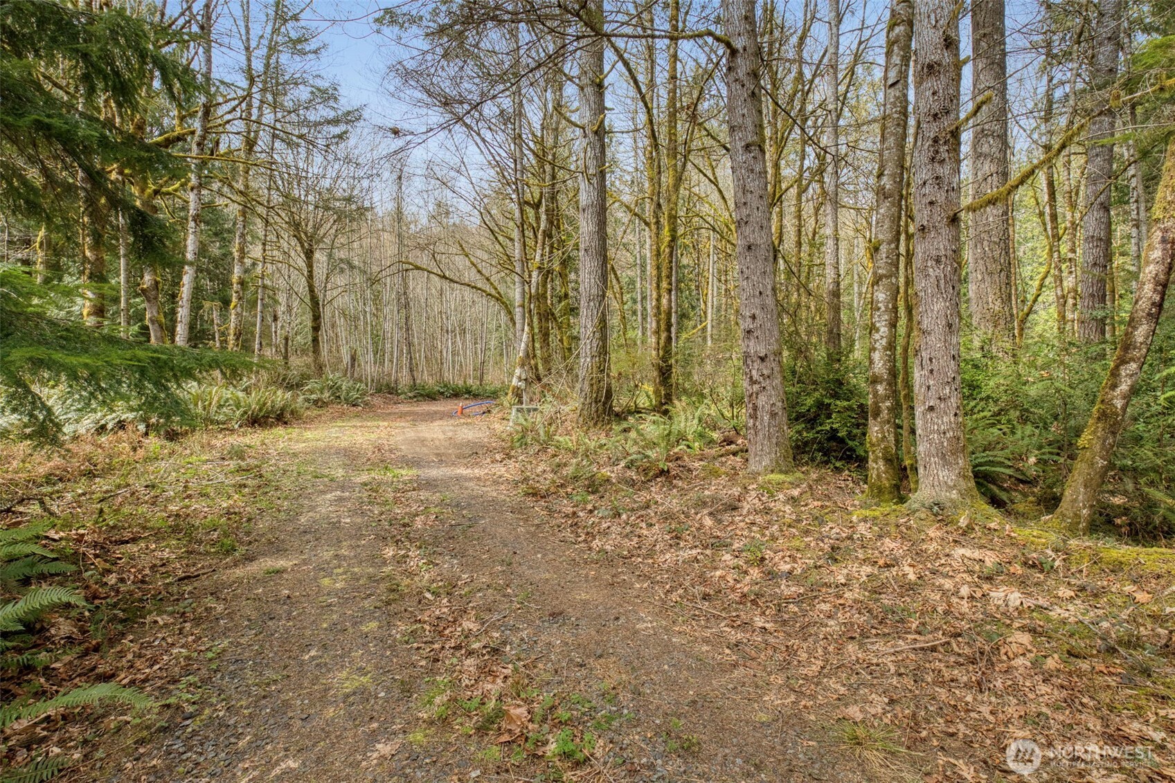 435 NW Sword Fern Lane