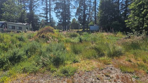 Photo of 247 xx Birch Place, Ocean Park, WA 98640 (MLS # 2256880)