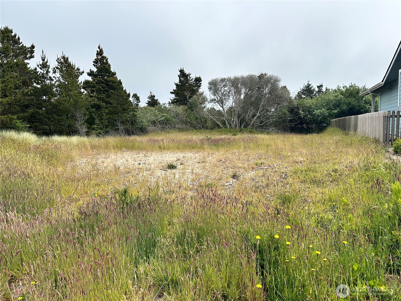 950 Cascade Avenue SW