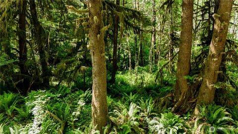 Photo of 99994 Dowans Creek Road, Forks, WA 98331 (MLS # 2302331) Photo of 99994 Dowans Creek Road, Forks, WA 98331 (MLS # 2302331)