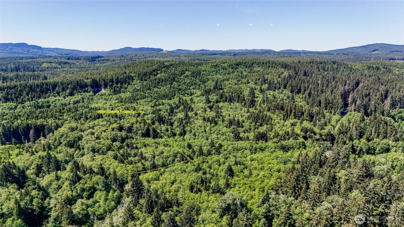 99994 Dowans Creek Road