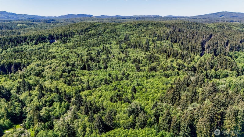 99994 Dowans Creek Road