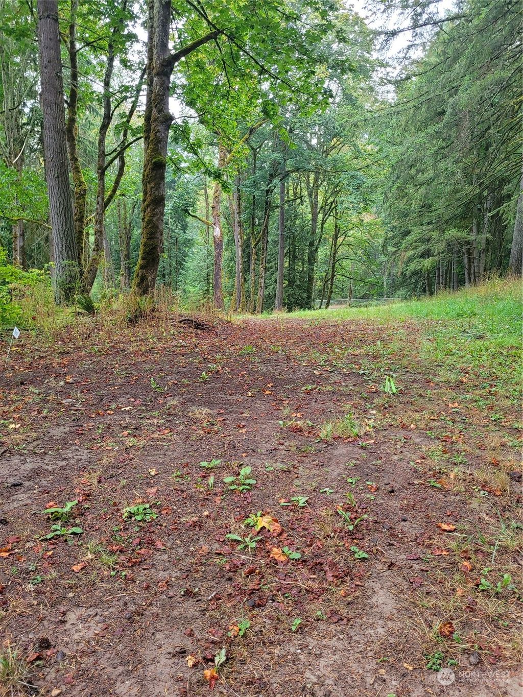 Photo of 17 SE 215th Street, Renton, WA 98058 (MLS # 2201171)