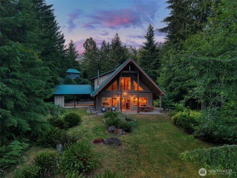 Photo of 1177 Ripley Creek Road, Quilcene, WA 98376 (MLS # 2556444)