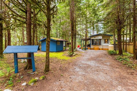 Photo of 94 4 Christmas Tree Drive, Deming, WA 98244 (MLS # 2514307)