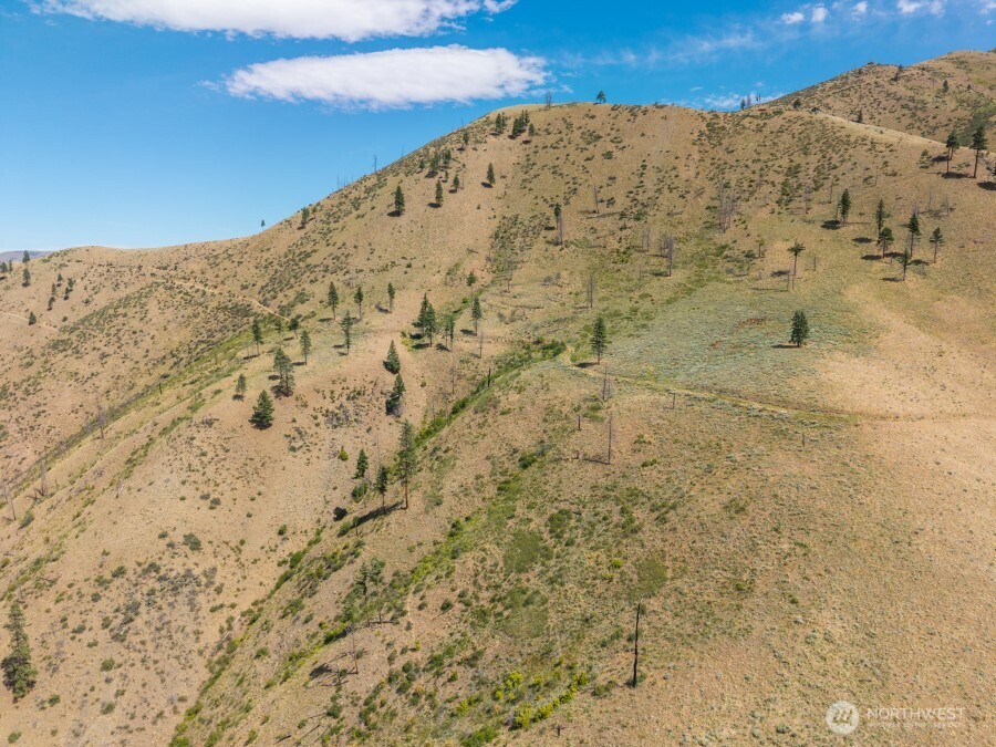 1 Mills Canyon Road