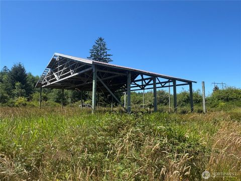 Photo of 468 Parpala Road, Naselle, WA 98638 (MLS # 2407918)