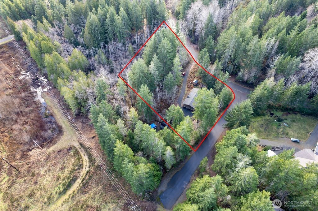 Photo of 150 N Beaver Drive, Hoodsport, WA 98548 (MLS # 2469228)