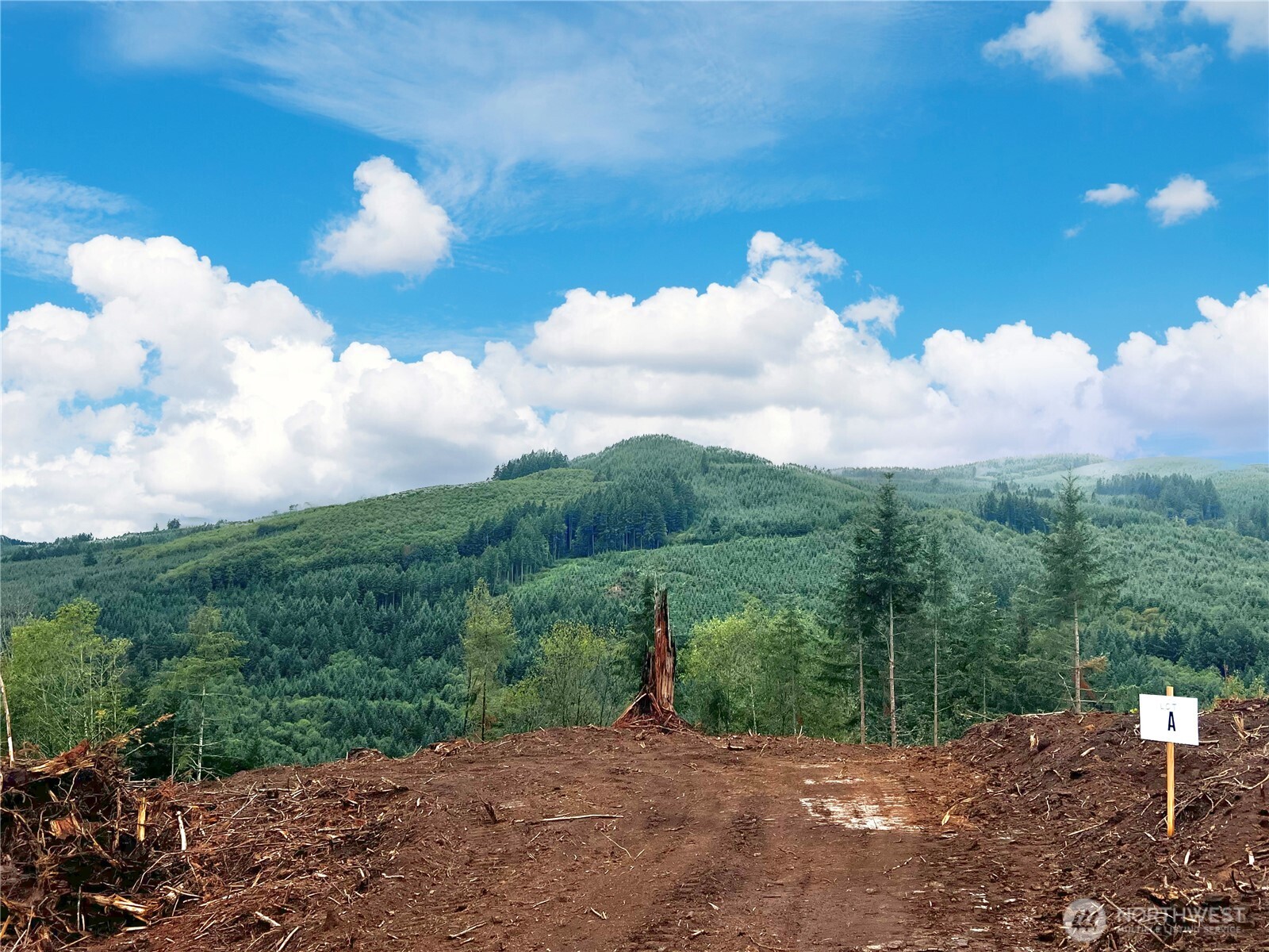 3729 Little Kalama River Road