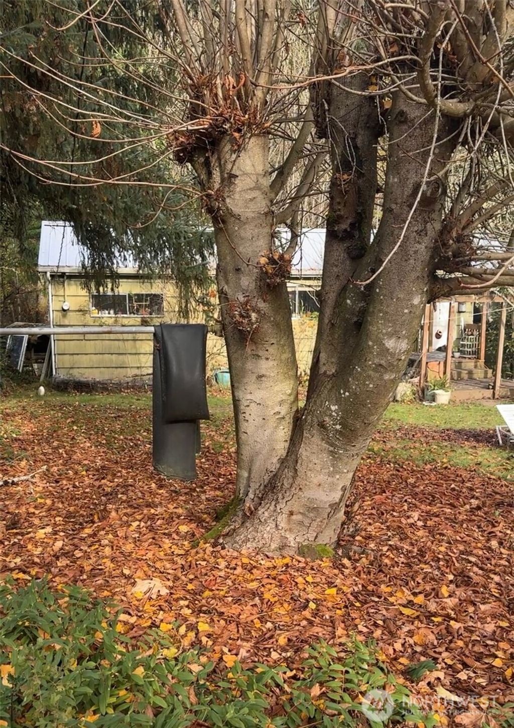 Photo of 2816 18th Avenue NE, Olympia, WA 98506 (MLS # 2468518)