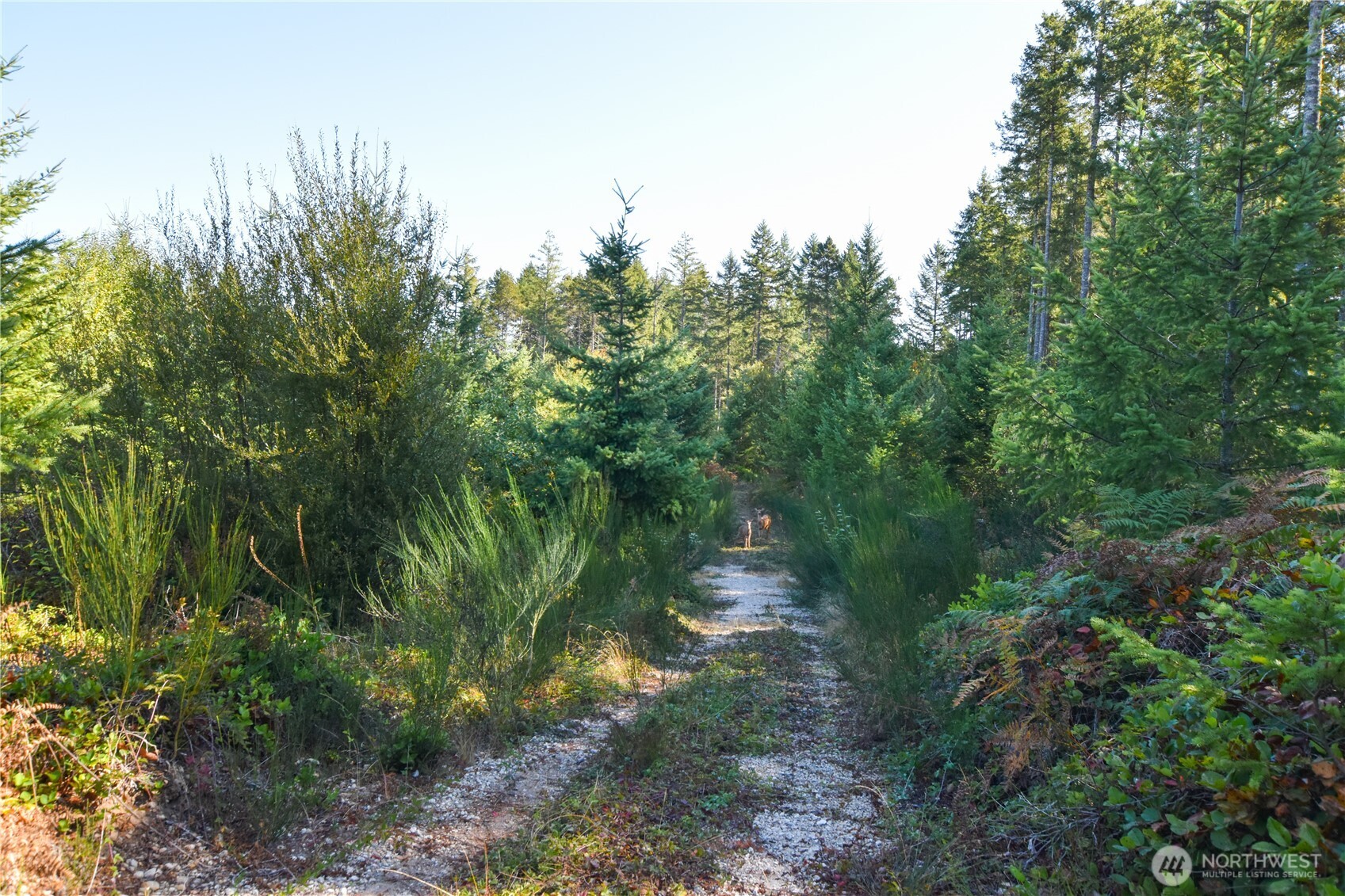20 SW Hunter Road