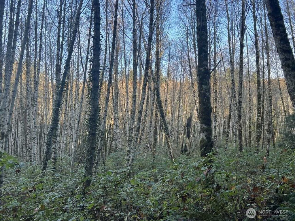 Photo of 1 XX View Drive NE, Poulsbo, WA 98370 (MLS # 2497506)