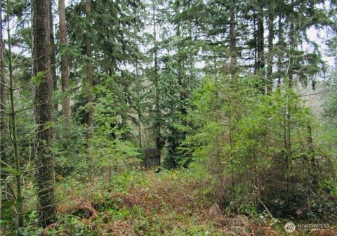 4606 West Tapps Lake Tapps WA 98391